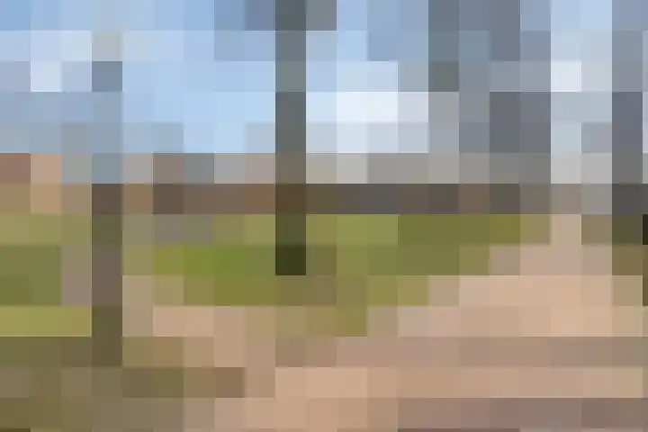 Kloosterpad 9 Stevensbeek thumbnail 44