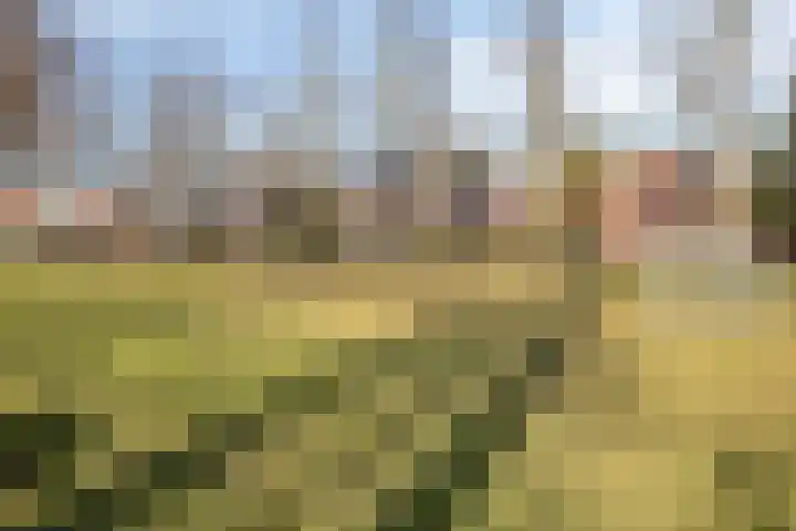 Kloosterpad 9 Stevensbeek thumbnail 45