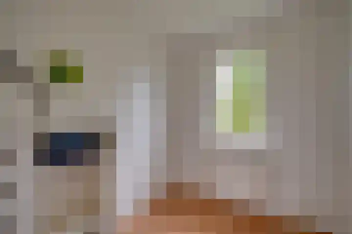 Kloosterpark 1 De Meern thumbnail 21