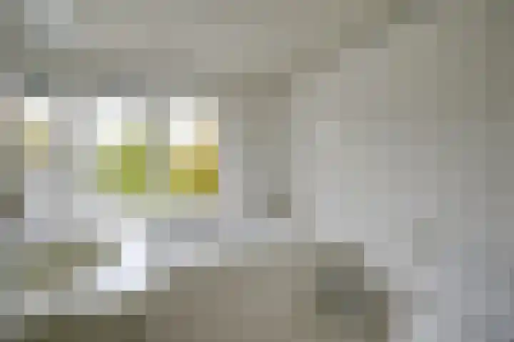 Kloosterpark 1 De Meern thumbnail 22