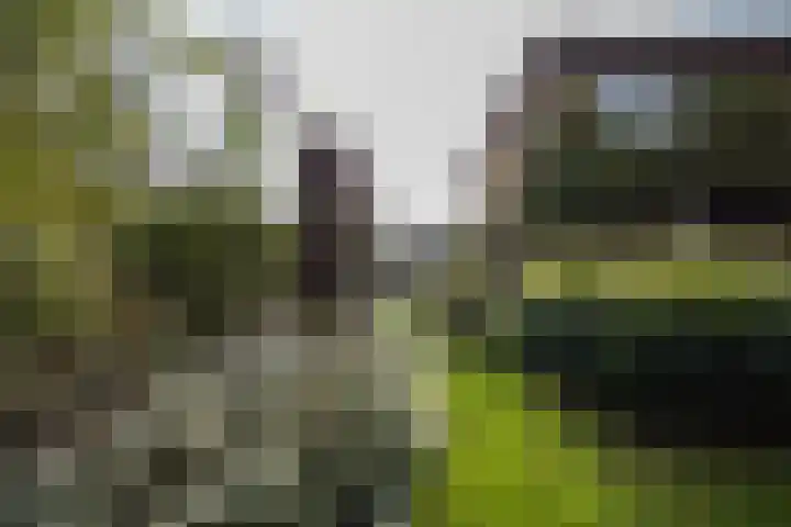 Kloosterpark 1 De Meern thumbnail 28
