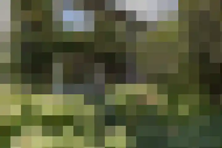 Kloosterpark 1 De Meern thumbnail 29