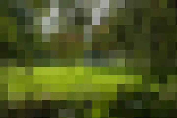 Kloosterpark 1 De Meern thumbnail 35