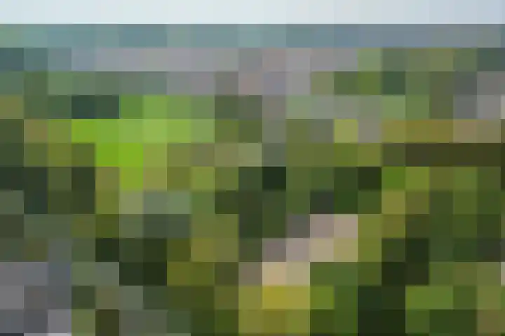 Kloosterpark 1 De Meern thumbnail 37