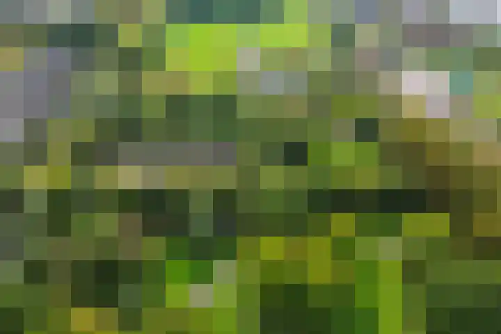 Kloosterpark 1 De Meern thumbnail 4