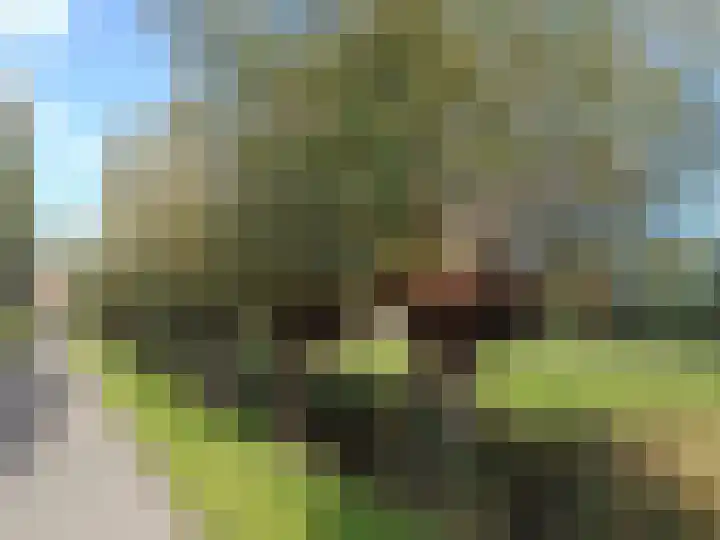 Kloosterpark 1 De Meern thumbnail 42