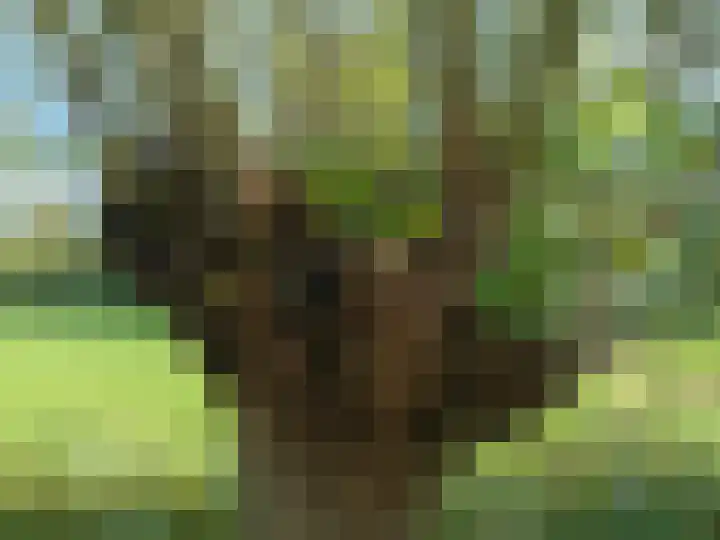 Kloosterpark 1 De Meern thumbnail 45