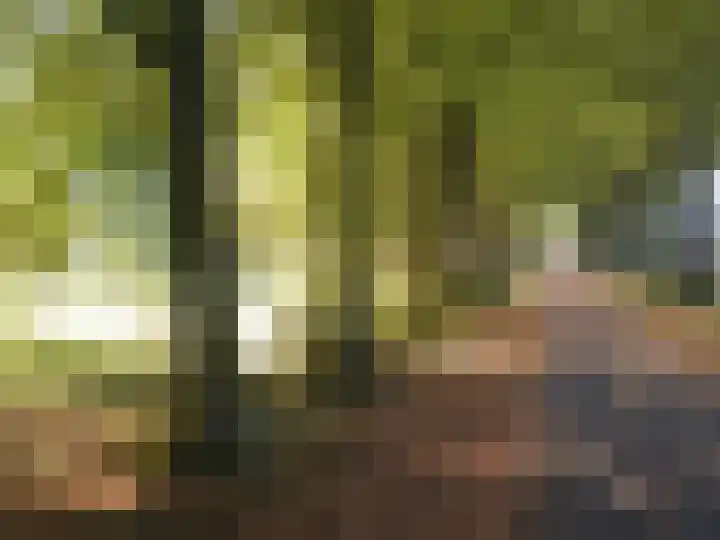 Kloosterpark 1 De Meern thumbnail 5