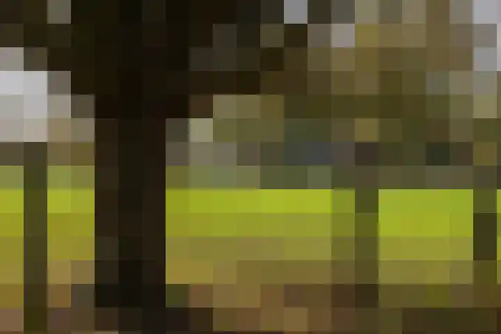 Kloosterpark 1 De Meern thumbnail 8