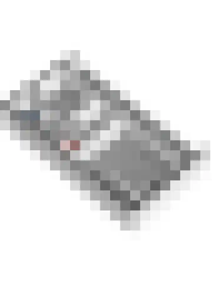 Kloosterplaats 23 Bemmel thumbnail 36