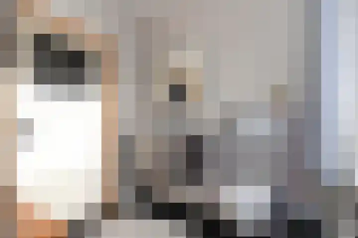 Kloosterstraat 33 Simpelveld thumbnail 31