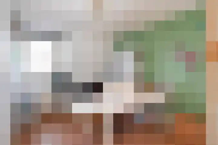 Kloosterstraat 33 Simpelveld thumbnail 34