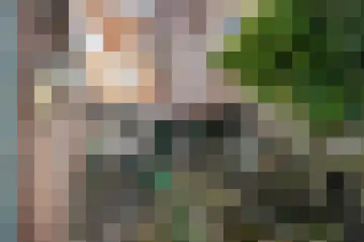 Kloosterstraat 33 Simpelveld thumbnail 40