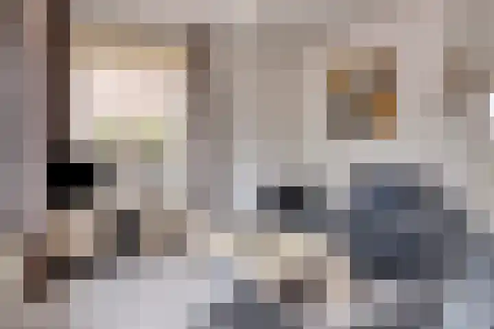 Kloosterstraat 5 Made thumbnail 7