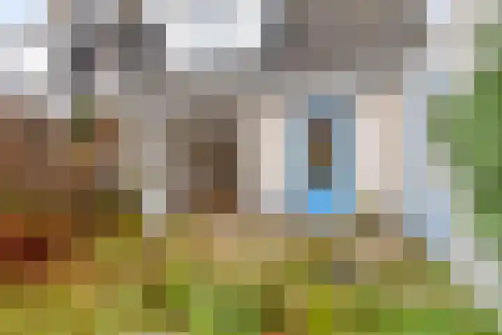Kloosterturf 11 Steenbergen thumbnail 29