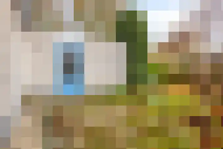 Kloosterturf 11 Steenbergen thumbnail 30