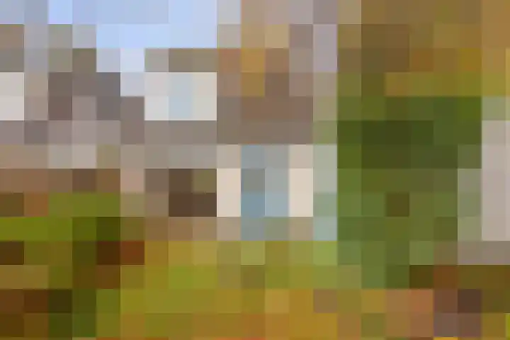 Kloosterturf 11 Steenbergen thumbnail 33