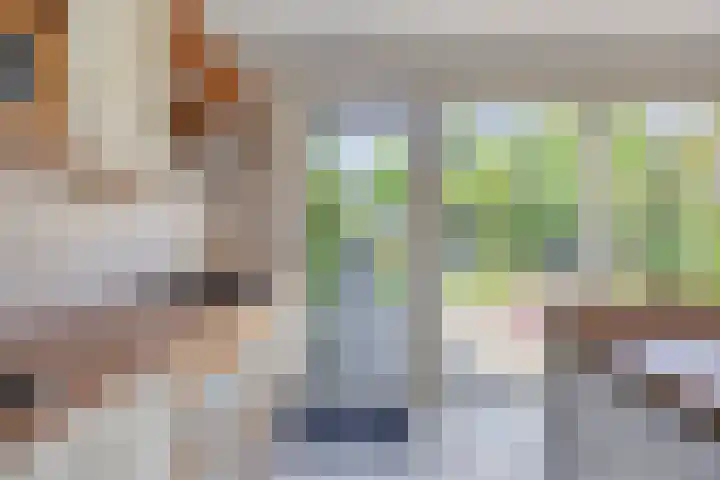 Kloosterwei 231 Warmond thumbnail 11