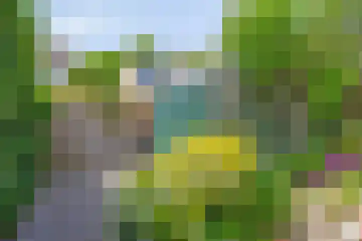 Kloosterwei 231 Warmond thumbnail 13
