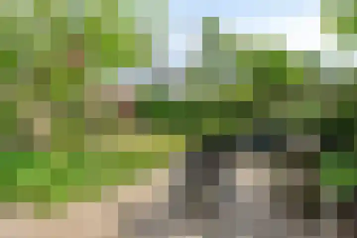 Kloosterwei 231 Warmond thumbnail 14