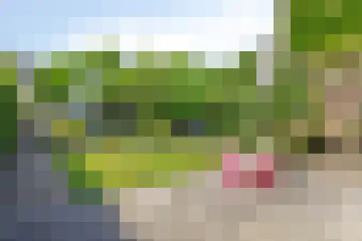 Kloosterwei 231 Warmond thumbnail 15