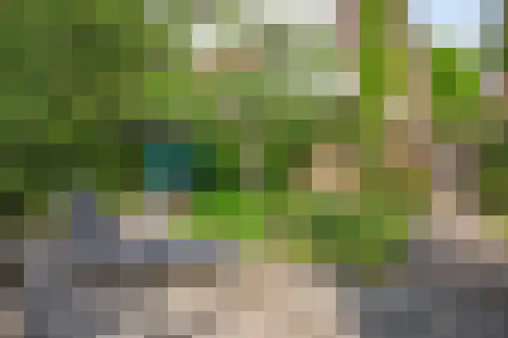 Kloosterwei 231 Warmond thumbnail 18