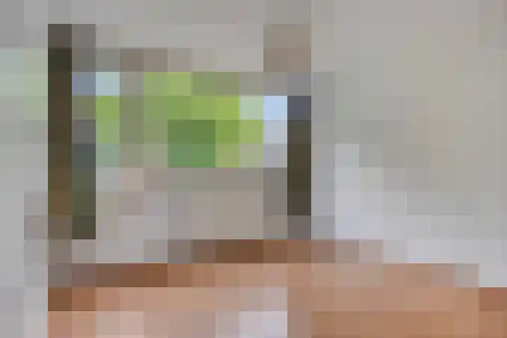 Kloosterwei 231 Warmond thumbnail 25