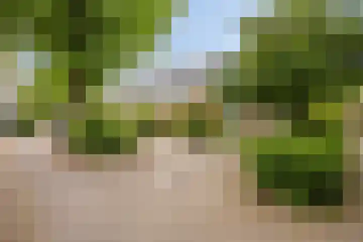 Kloosterwei 231 Warmond thumbnail 34