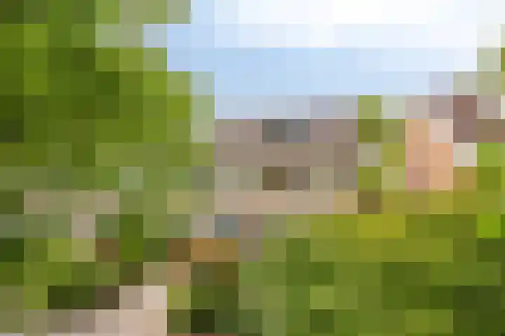 Kloosterwei 231 Warmond thumbnail 35