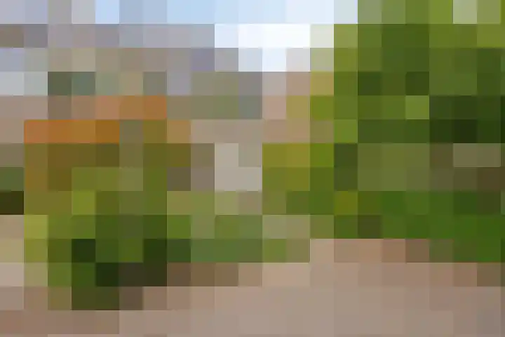 Kloosterwei 231 Warmond thumbnail 36
