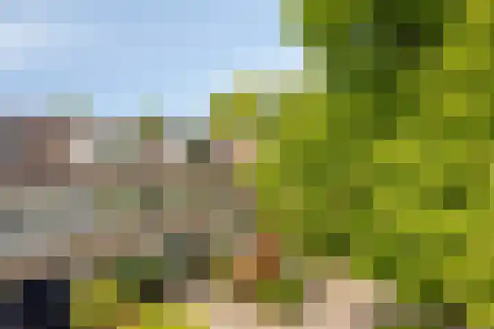 Kloosterwei 231 Warmond thumbnail 37