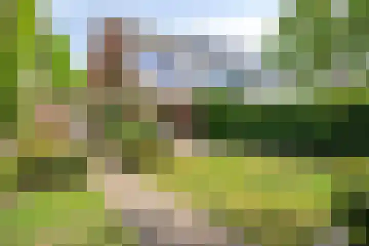 Kloosterwei 231 Warmond thumbnail 46