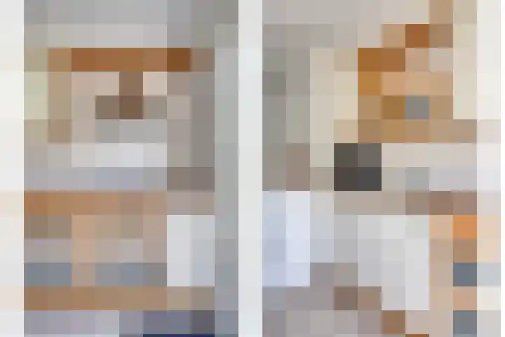Kloosterwei 231 Warmond thumbnail 9
