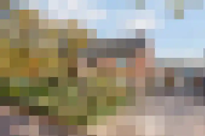 Kloppendijk 74 Denekamp thumbnail 5