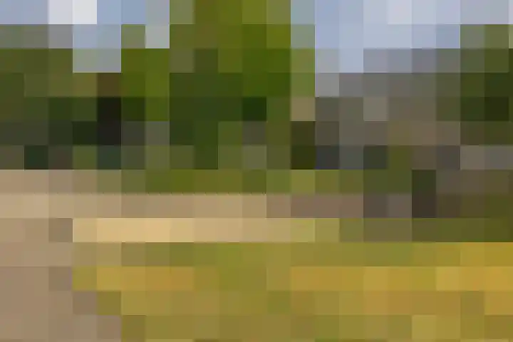 Kloppersingel 121 Haarlem thumbnail 5