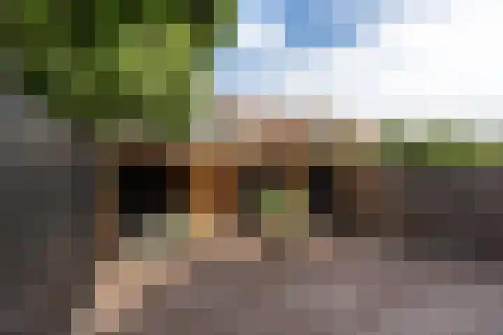 Kloppersingel 141 Haarlem thumbnail 18
