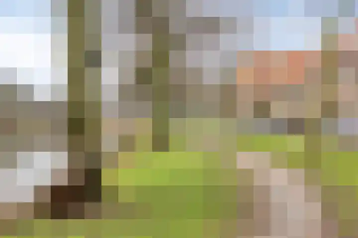 Kloppersingel 171 Haarlem thumbnail 43
