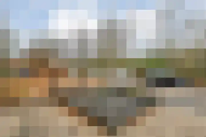 Kluft 38 Meppel thumbnail 30