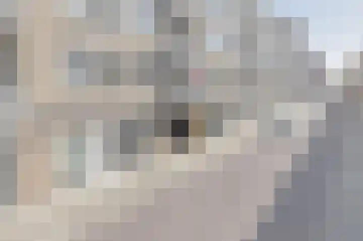 Kluisstraat 3 A Helmond thumbnail 32