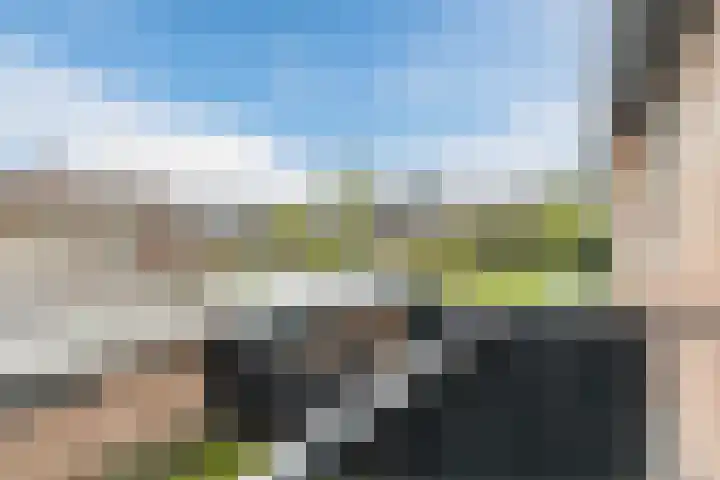 Klumperkamp 33 Epse thumbnail 38