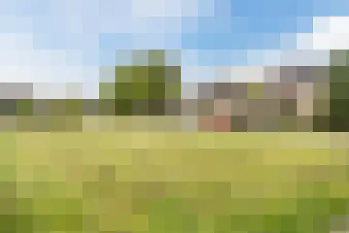 Klumperkamp 33 Epse thumbnail 48