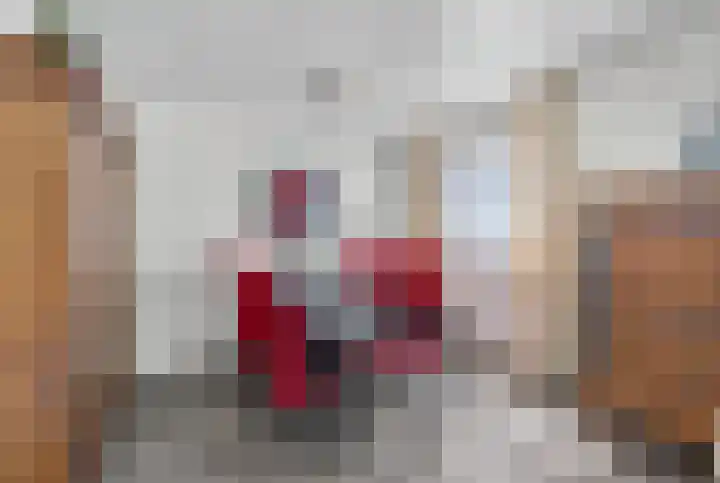 Kluut 38 Sommelsdijk thumbnail 12