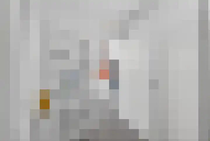 Kluut 38 Sommelsdijk thumbnail 17