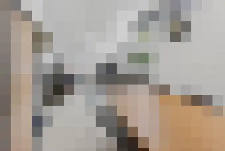 Kluut 38 Sommelsdijk thumbnail 35