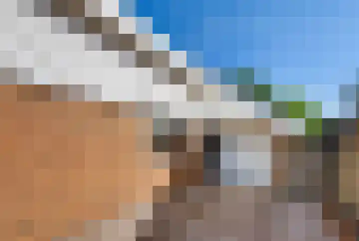 Kluut 38 Sommelsdijk thumbnail 40