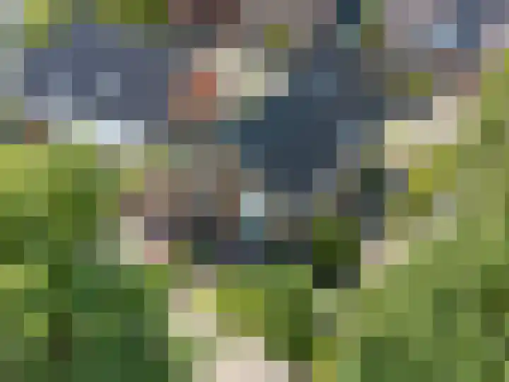 Kluut 38 Sommelsdijk thumbnail 47