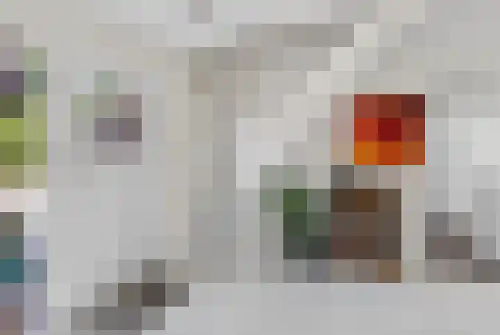 Kluut 38 Sommelsdijk thumbnail 7