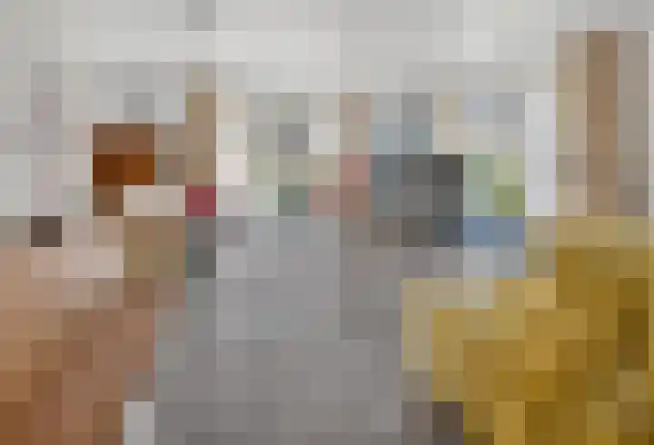 Kluut 38 Sommelsdijk thumbnail 9
