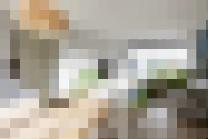 KN Kuperusstrjitte 9 Marsum thumbnail 11