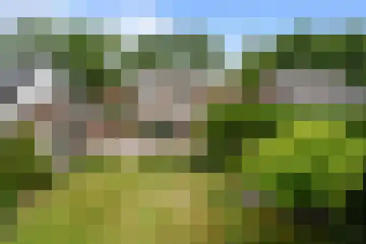 Knapersven 1 Mariahout thumbnail 29